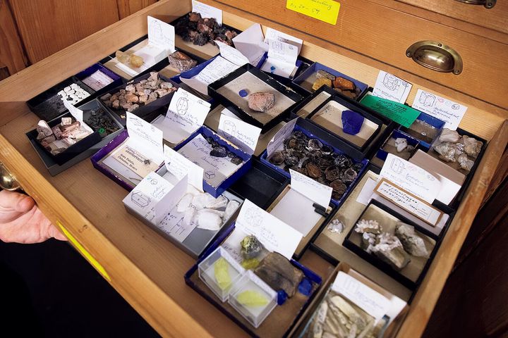 ドイツ〈クランツ商会〉のアーカイブ室