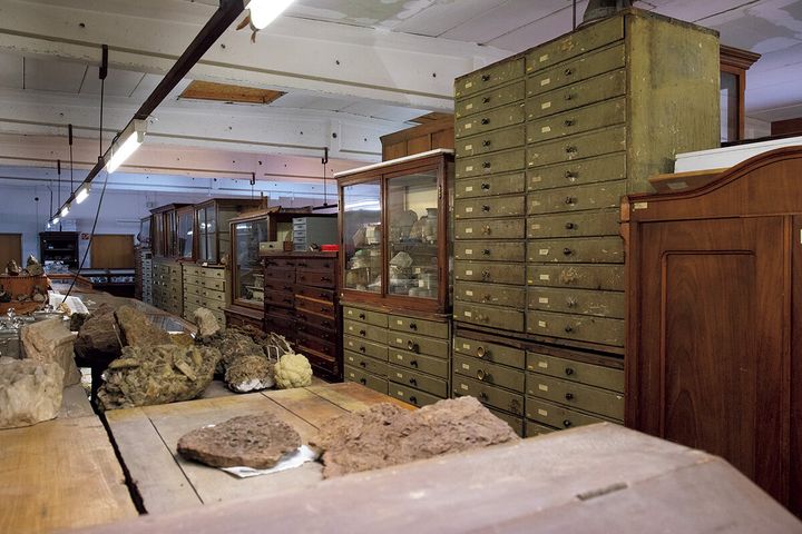 ドイツ〈クランツ商会〉のアーカイブ室