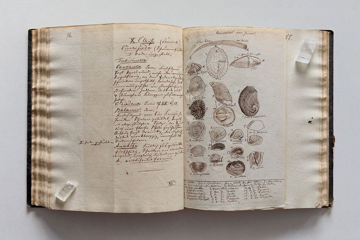 鉱物のイラストが描かれたＡ・Ａ・クランツの講義のノート