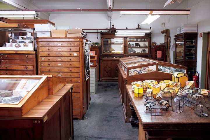 ドイツ〈クランツ商会〉のアーカイブ室