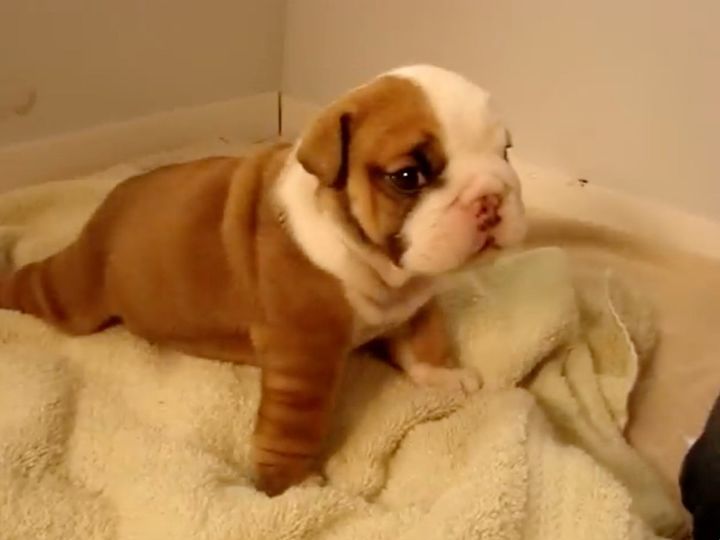 この切ない表情…！