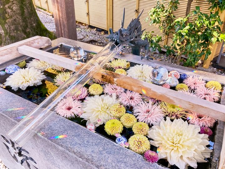 巳の日に合わせて旬の花々で彩られる手水舎