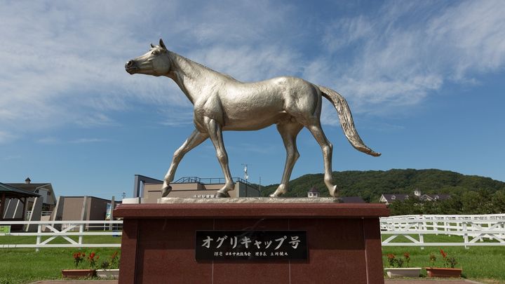 FC岐阜、伝説の名馬「オグリキャップ」とコラボした2025新ユニフォームを発表！どこで買える？