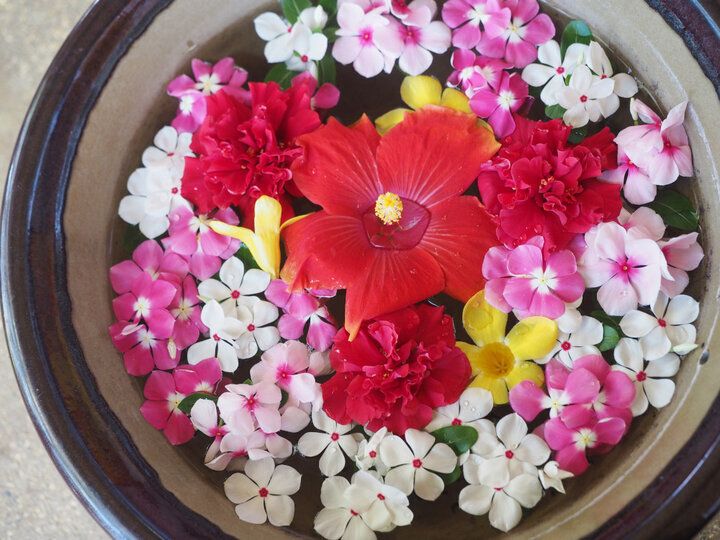 強運を引き寄せ、新しい年をハッピーに過ごすには…？【イヴルルド遙華の12星座占い】