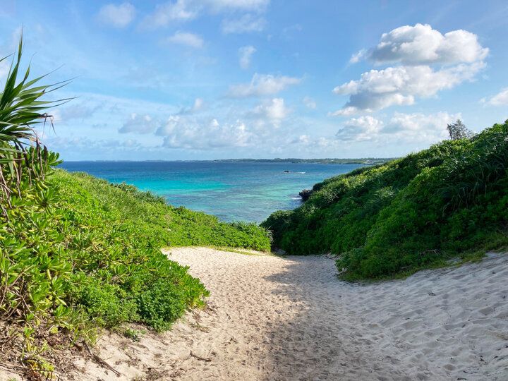 強運を引き寄せ、新しい年をハッピーに過ごすには…？【イヴルルド遙華の12星座占い】