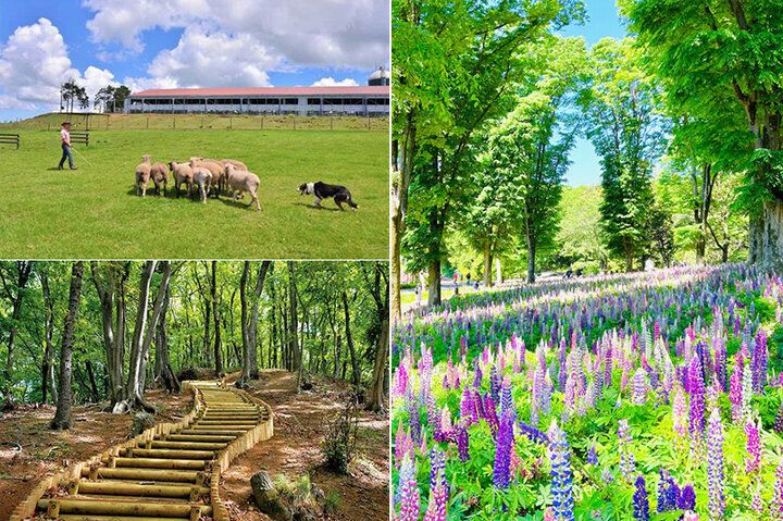 強運を引き寄せ、新しい年をハッピーに過ごすには…？【イヴルルド遙華の12星座占い】