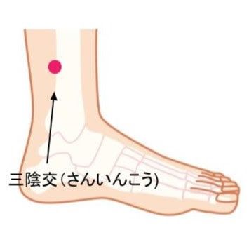 三陰交
