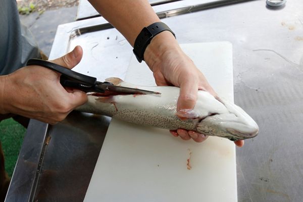 100万㎡ある大自然の無印良品キャンプ場で釣り体験！初心者でも簡単にできる魅力とは？