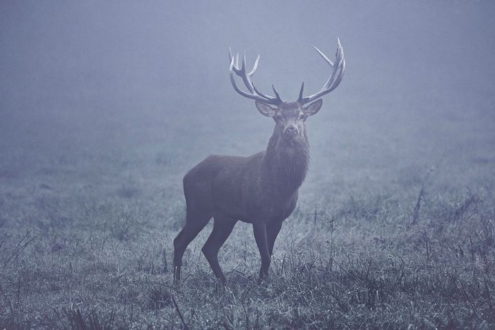 Ruinart Japan Award 2024 Winner Photo_ © Tamaki Yoshida * This image represents work in progress