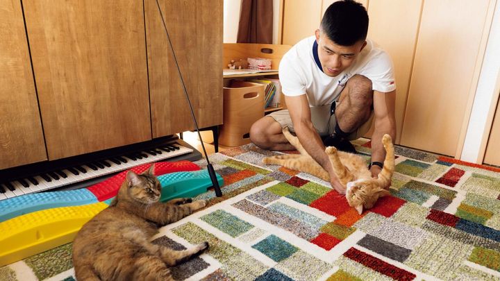 レスリング選手・文田健一郎と愛猫のしょうが、わさび