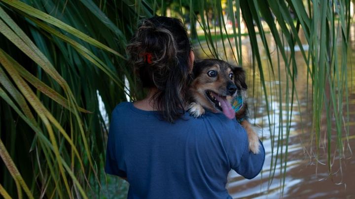 お年寄りや動物を洪水から救助したサッカー選手、世界的に表彰される「助けに行かなければと…」