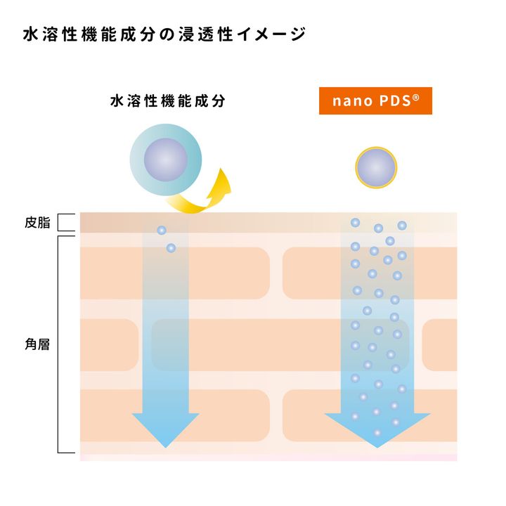 肌表皮＆角質層に確実に届く次世代特許浸透技術nano PDSを使った世界初*²3種のビタミンCがなんと20%配合されたクリーム新登場
