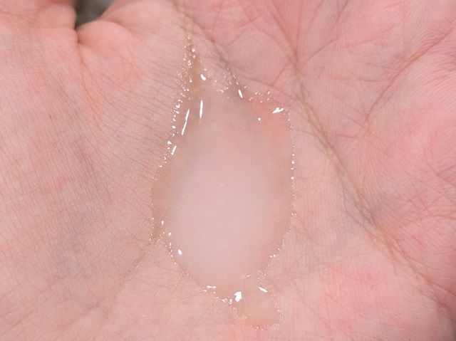 ユーグレナの写真