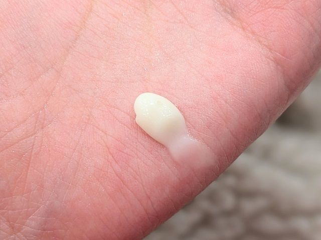 ユーグレナの写真