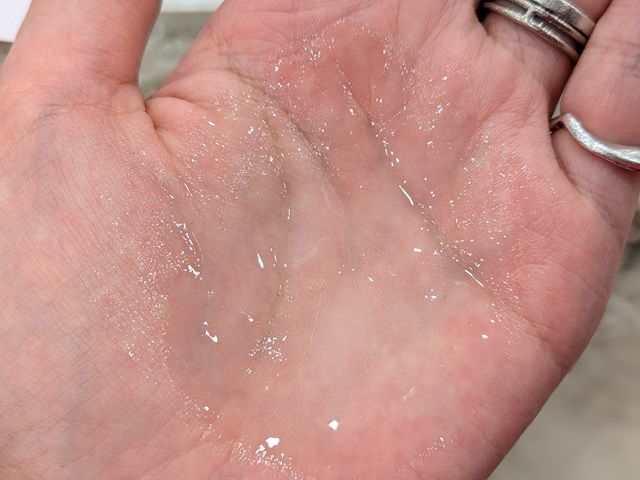 ユーグレナの写真