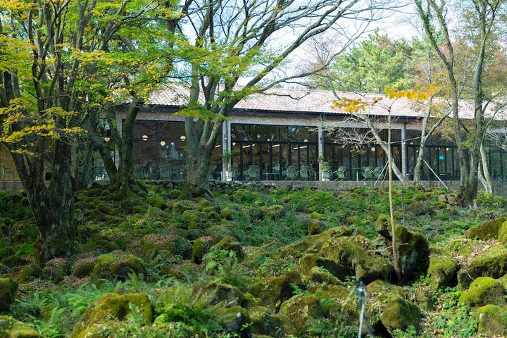 イキスプソギル