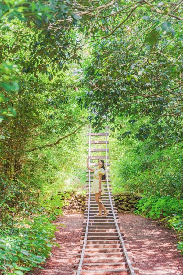 山陽クノンゴッ1