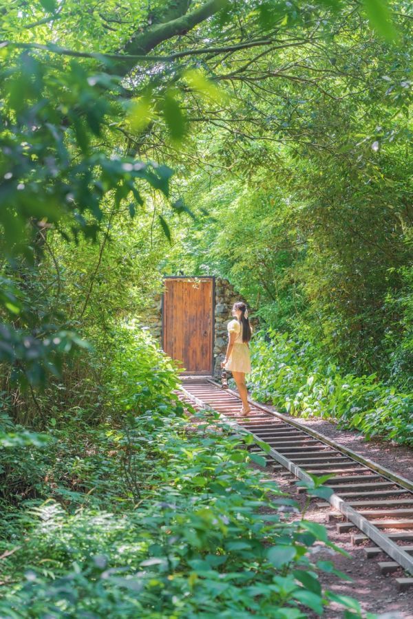 山陽クノンゴッ2