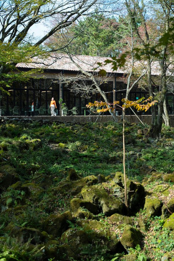 イキスプソギルの苔の庭