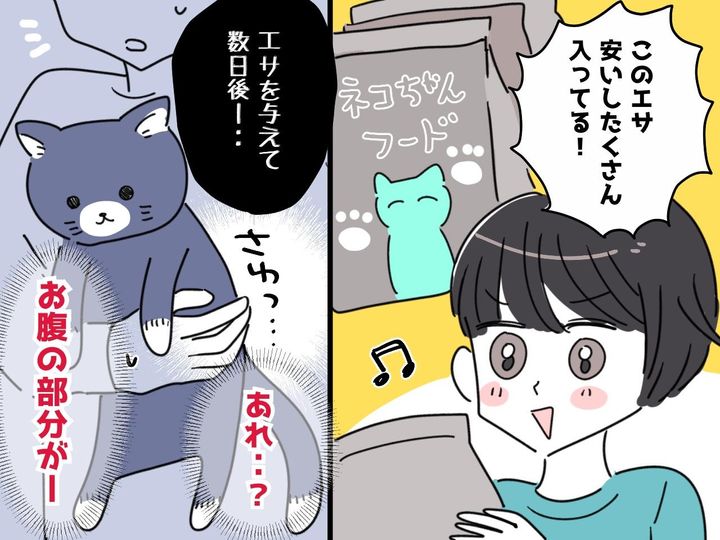 画像: 【まさか】愛猫のエサを新しくしたら → 数日後「あれっ」抱き上げた瞬間、お腹に違和感が！ 実は？