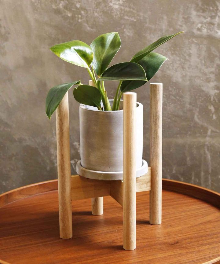 画像4: 出典：3COINS