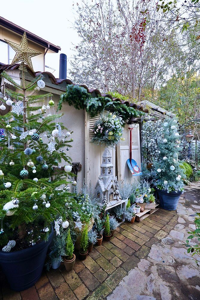 クリスマスのハンギングバスケット