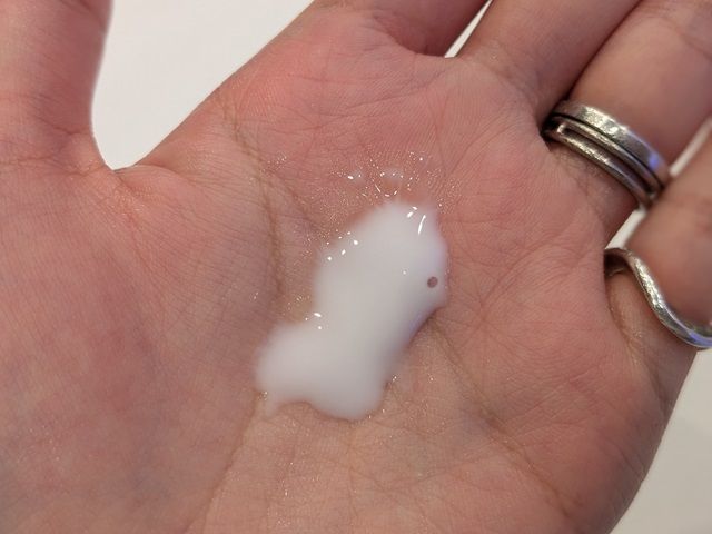 トランシーノの写真