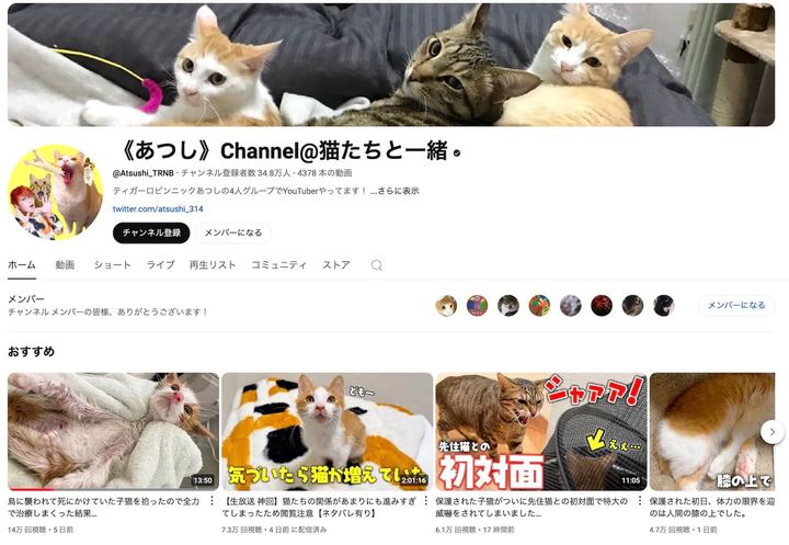 YouTubeチャンネル《あつし》Channel@猫たちと一緒のスクリーンショット