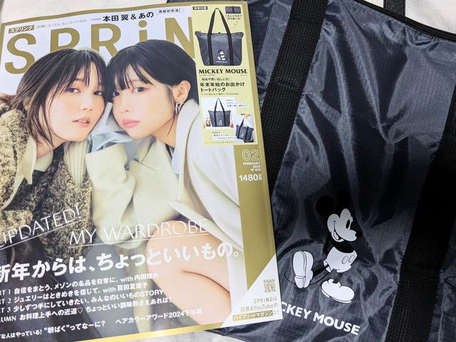 ミッキーマウスのトートバッグ