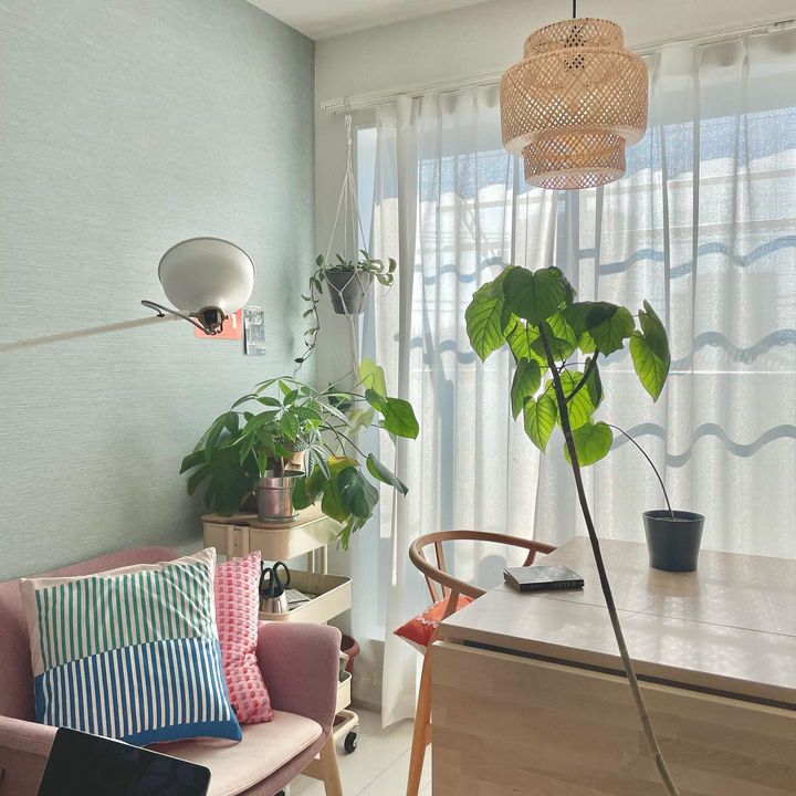 狭くても植物との暮らしを楽しむ。30㎡以下でも叶う植物のある暮らし3選