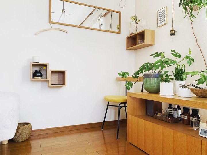狭くても植物との暮らしを楽しむ。30㎡以下でも叶う植物のある暮らし3選