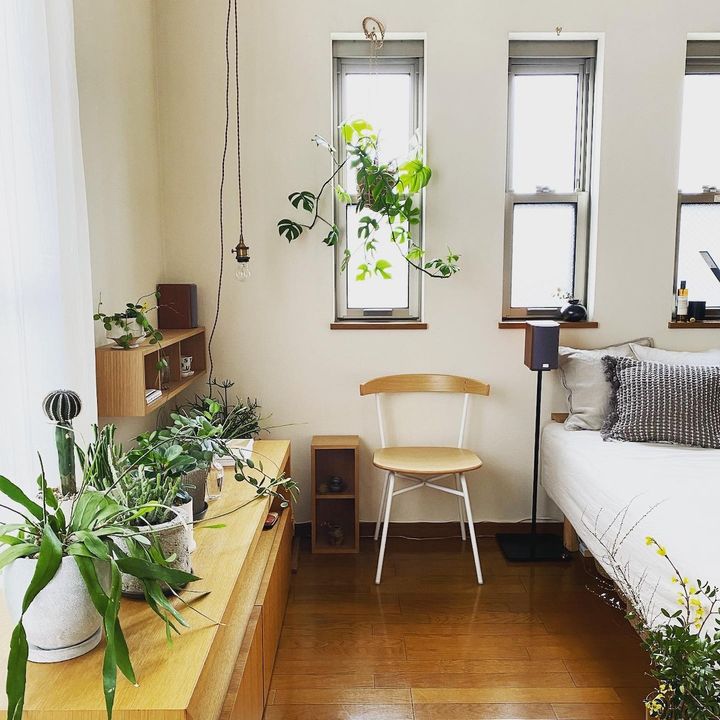 狭くても植物との暮らしを楽しむ。30㎡以下でも叶う植物のある暮らし3選