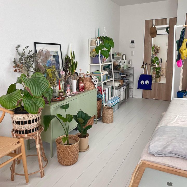狭くても植物との暮らしを楽しむ。30㎡以下でも叶う植物のある暮らし3選