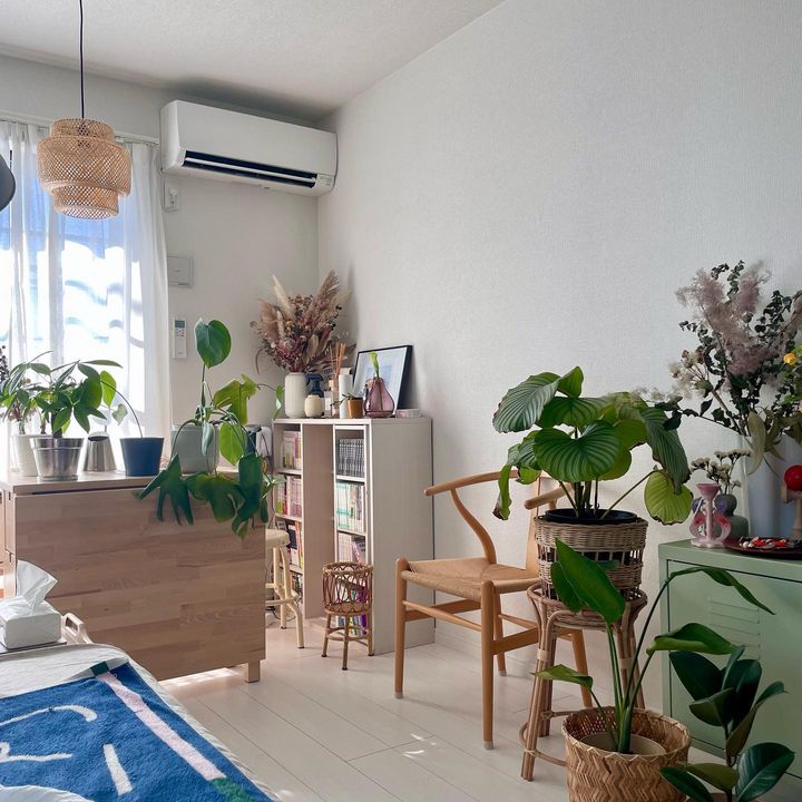 狭くても植物との暮らしを楽しむ。30㎡以下でも叶う植物のある暮らし3選