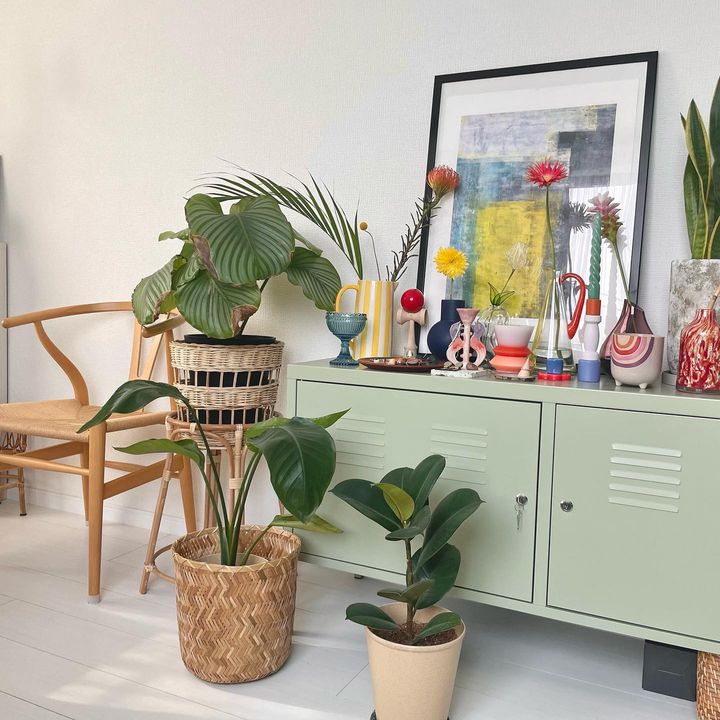 狭くても植物との暮らしを楽しむ。30㎡以下でも叶う植物のある暮らし3選