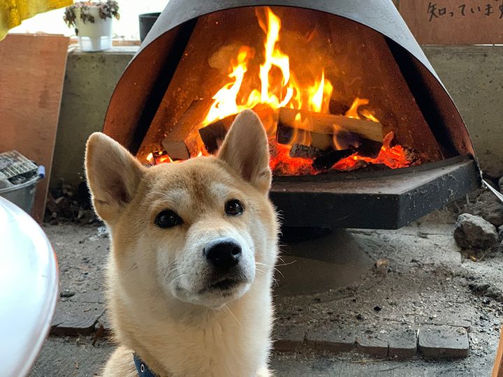 意外と知らない！冬キャンプで役に立つ薪ストーブの豆知識