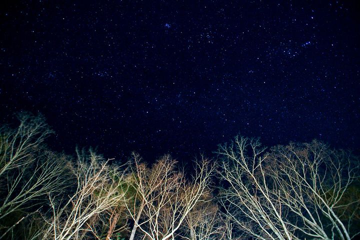 意外と知らない！冬キャンプで役に立つ薪ストーブの豆知識