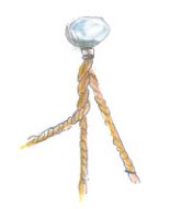 「お正月のしめ飾り」を手づくり！ リースのように紙ひもをグルグル巻き巻き…の画像6