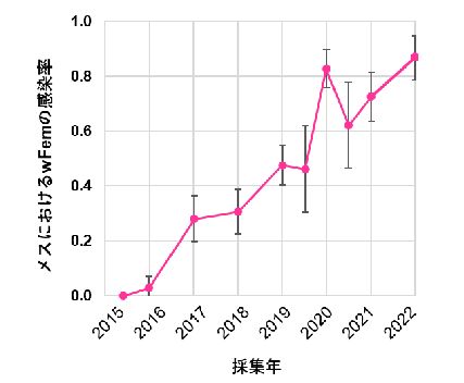 採集したメスに占めるwFemを保有したメスの割合