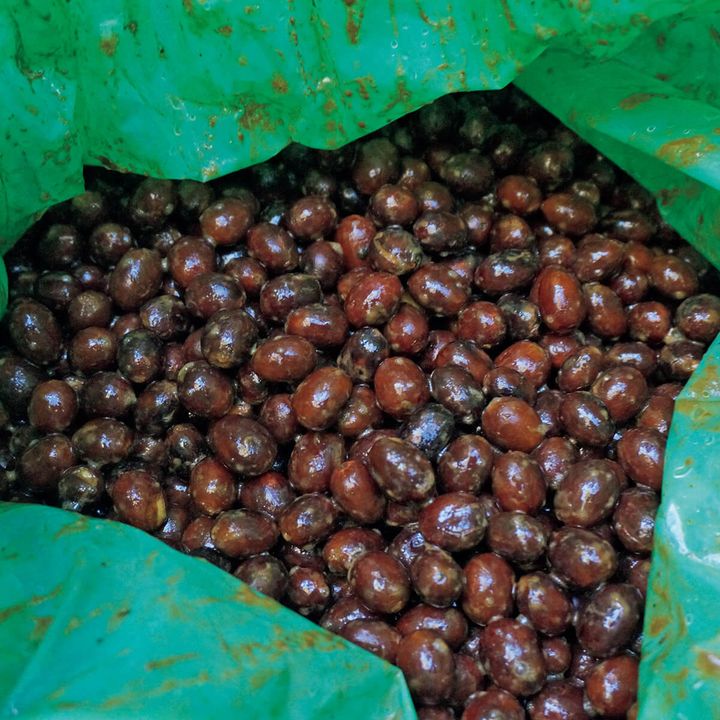 発酵段階を経たチェリー