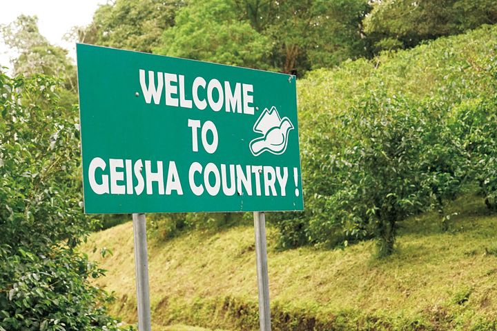 パナマ ジャンソン農園の看板