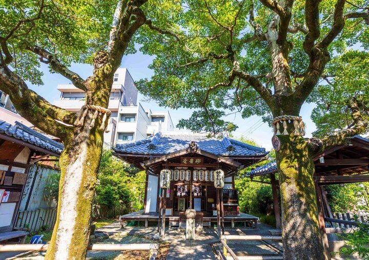 【招待券プレゼント】京都で巳年にちなんだ新年の幸せ祈願、博物館でのアート始めも♪