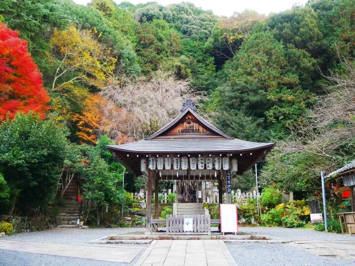 【招待券プレゼント】京都で巳年にちなんだ新年の幸せ祈願、博物館でのアート始めも♪