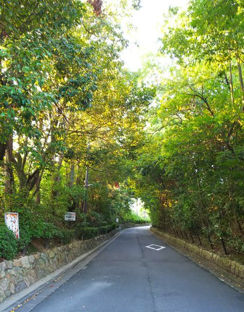泉涌寺参道（泉涌寺道）