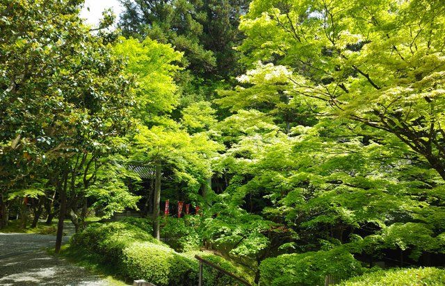 初夏の観音寺