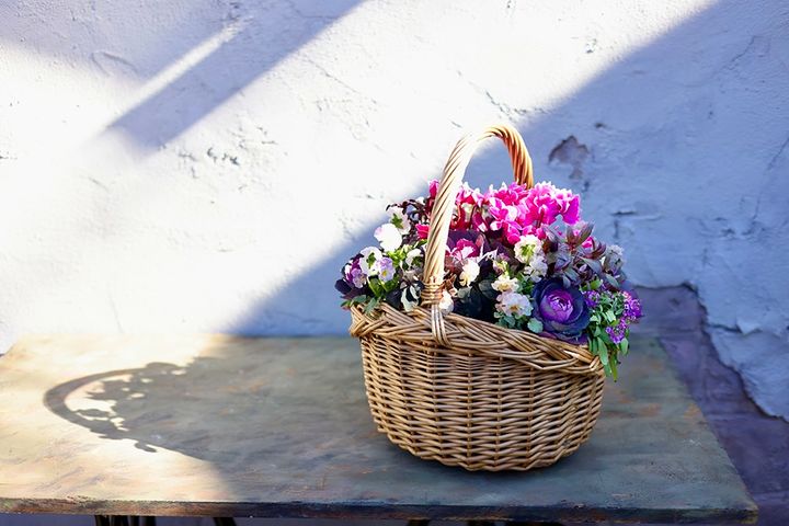 ガーデンシクラメンの寄せ植え