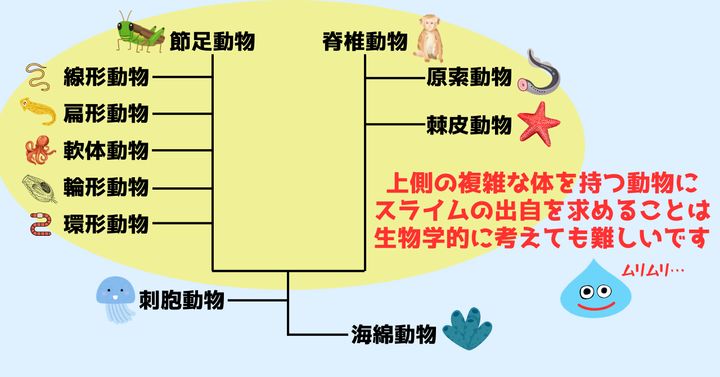 系統樹の上側の生物は比較的複雑な体を持っている