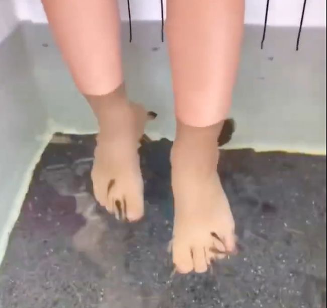 初めてのドクターフィッシュ。兄妹の初めて体験を比べてみたら