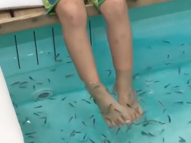 初めてのドクターフィッシュ。兄妹の初めて体験を比べてみたら