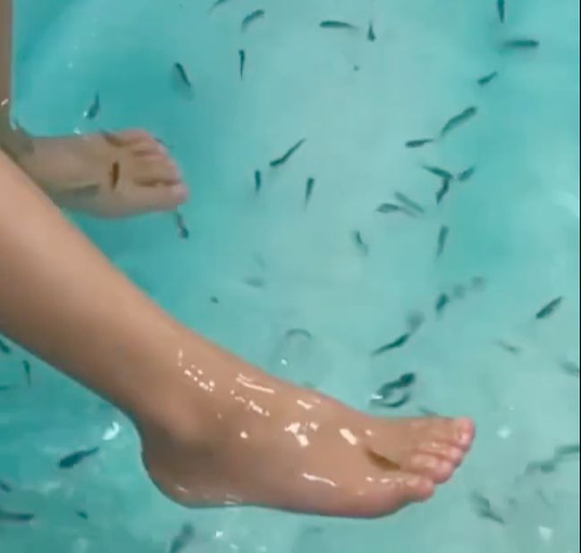 初めてのドクターフィッシュ。兄妹の初めて体験を比べてみたら